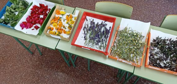 el aula de farmacia huele a primavera